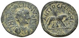 PISIDIA. Antioch. Gallienus Æ (27.7mm, 13.8 g) of AD 253-268. IMP CA GALLIHNVS PIVS, radiate and draped bust right / ANTIOCH CO CL, she-wolf standing ...