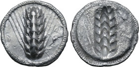 Lucania, Metapontion AR Stater. Circa 510-470 BC. Ear of barley with six grains on each side; META upwards to left / Incuse ear of barley with six gra...