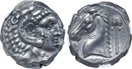 Sicily, Siculo-Punic AR Tetradrachm. ‘People of the Camp’ mint (Entella or Lilybaion?), circa 300-289 BC. Head of Herakles to right, wearing lion skin...