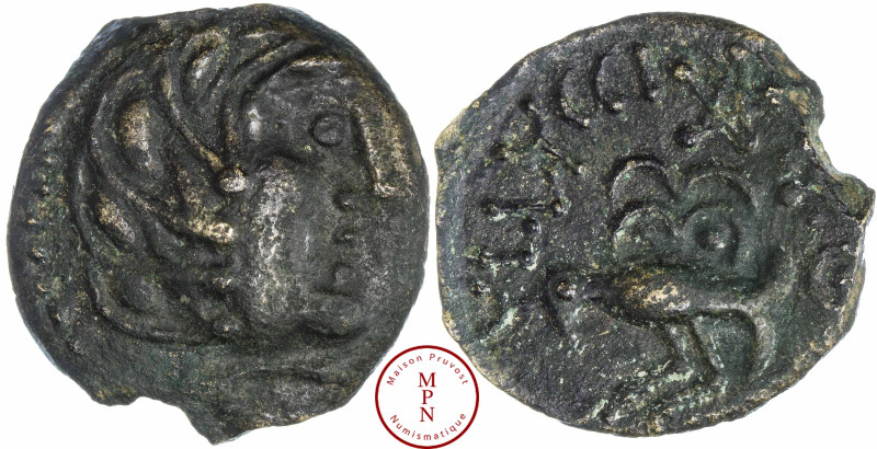 Sénons (Région de Sens), Bronze YLLYCCI à l'oiseau classe IV, Ier siècle avant J...