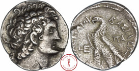 Égypte, Ptolémée IX Soter (116-107 avanct J.-C. - 88-80 avant J.-C.,), Tétradrachme, 113-122 avant J.-C., Paphos, Av. Tête Diadémée à droite, Rv. BAΣI...