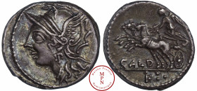 Coelia, C. Coelius Caldus, Denier, 104 avant J.-C., Av. Tête casquée de Rome à gauche, Rv. Victoire dans un bige à gauche, dessous : CALD, à l'exergue...