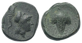 Apulien. Arpi.

 Bronze. Ca. 215 - 212 v. Chr.
Vs: Kopf der Athena mit korinthischem Helm rechts.
Rs: Weintraube.

16 mm. 6,12 g. 

HN Italy 6...