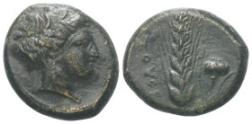 Lukanien. Metapont.

 Obol (Bronze). Ca. 400 - 340 v. Chr.
Vs: Kopf der Demeter mit Ährenkranz rechts.
Rs: Getreideähre; im Feld links Nominal und...