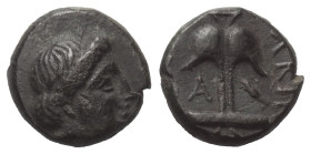 Thrakien. Apollonia Pontika.

 Leichter Dichalkon (Bronze). Ca. 410 - 323 v. Chr.
Vs: Kopf des Apollon mit Lorbeerkranz rechts.
Rs: Anker, links A...