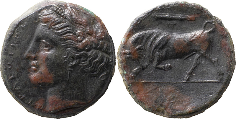 Greeck Coins
Sicily, Syracuse. Hieron II 275-215 BC. Æ 6.18g, c. 275-269 BC. ΣΥΡ...