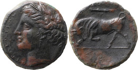 Greeck Coins
Sicily, Syracuse. Hieron II 275-215 BC. Æ 6.18g, c. 275-269 BC. ΣΥΡΑΚΟΣΙΩΝ before Wreathed head of Kore l. R/ Bull butting l.; above, clu...