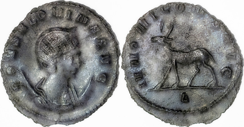 The Roman Empire
Salonina (wife of Gallienus) Antoninianus, 3,14g. Rome. Obv: CO...