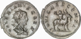 The Roman Empire
Divus Valerian II, died 258. AR Antoninianus Viminacium, 3,25g. AD 253-255. P LIC VALERIANVS CAES, radiate and draped bust to right. ...