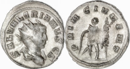 The Roman Empire
Saloninus. As Caesar, AD 258-260. Antoninianus, 2,89g. Mediolanum Obv: SAL VALERIANVS CS. Radiate and draped bust right. Rev: PRINC ...
