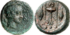 SIZILIEN. 
LEONTINOI (Lentini). 
AE-Tetras 15mm (405/403 v.Chr.) 2,12g. LEON Kopf des Apollon mit Lorbeerkranz n.r.; dahinter Gerstenkorn / Dreifuß ...