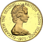 BRITISCHE JUNGFERN-INSELN. 
100 Dollars 1975 Elisabeth II. / Seevogel. F. 1, K-M. 7. . 

GOLD P.P.Or. Etui, verschweißt