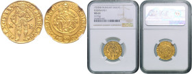 FERDINAND I (1526 - 1564)&nbsp;
1 Ducat, 1533, KB, Husz 895, KB. Husz 895&nbsp;

UNC | UNC , NGC MS 63
