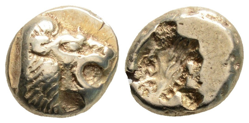 Greek
LESBOS, Mytilene (Circa 521-478 BC)
EL Hekte (5.8mm, 2.52g)
Obv: Head of r...