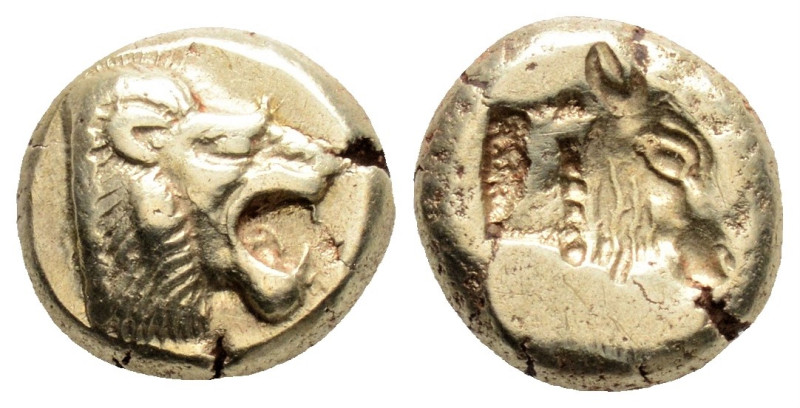 Greek
LESBOS, Mytilene (Circa 521-478 BC)
EL Hekte (10.5mm, 2.54g)
Obv: Head of ...