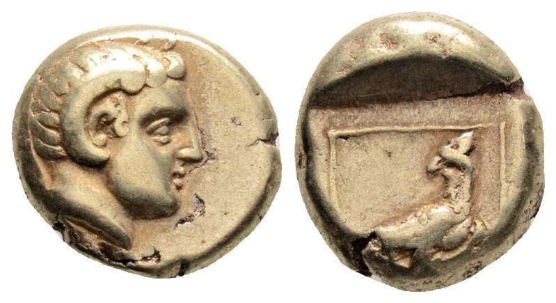 Greek
LESBOS, Mytilene (Circa 377-326 BC)
EL Hekte (6mm, 2.52g)
Obv: Head of Apo...