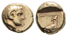 Greek
LESBOS, Mytilene (Circa 377-326 BC)
EL Hekte (6mm, 2.52g)
Obv: Head of Apollo Karneios to right, wearing horn of Ammon over his ear.
Rev: Eagle ...