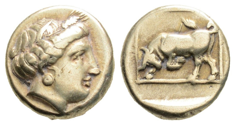 Greek
LESBOS, Mytilene (Circa 377-326 BC)
EL Hekte (10.9mm, 2.51g)
Obv: Head of ...