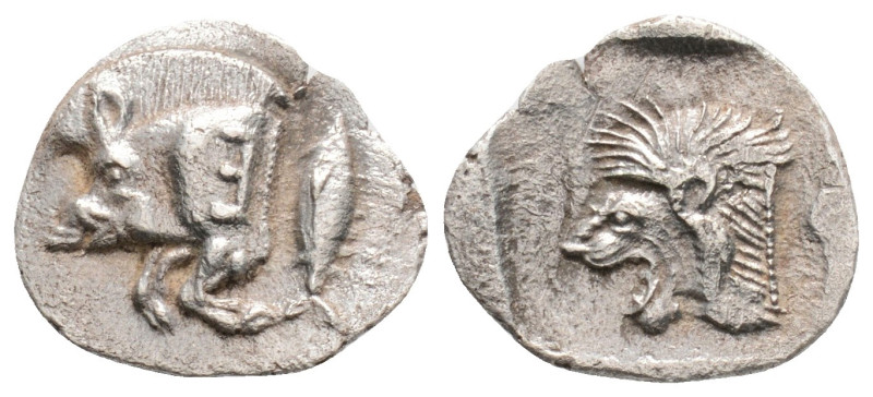 Greek
MYSIA, Kyzikos (Circa 450-400 BC)
AR Obol (8mm, 0.73g)
Obv: Forepart of bo...