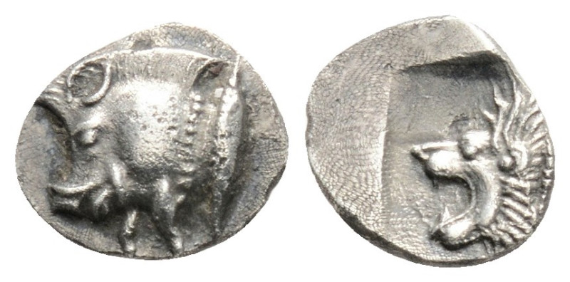 Greek
MYSIA, Kyzikos (Circa 450-400 BC)
AR Hemiobol (8.5mm, 0.3g)
Obv: Forepart ...