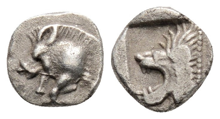 Greek
MYSIA, Kyzikos (Circa 450-400 BC)
AR Hemiobol (7.2mm, 0.3g)
Obv: Forepart ...