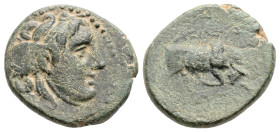Greek
SELEUKID KINGDOM, Antioch on the Orontes, Seleukos I Nikator (Circa 312-281 BC)
AE Bronze (15.9mm, 2.6g)
Obv: Winged head of Medusa right.
Rev: ...
