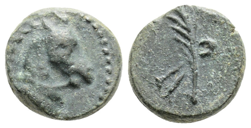 Greek
PONTOS, Uncertain (Circa 130-100 BC)
AE Bronze (11.3mm, 1.8g)
Obv: Head of...