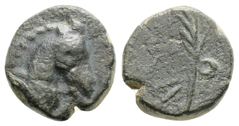 Greek
PONTOS, Uncertain (Circa 130-100 BC)
AE Bronze (10.8mm, 1.7g)
Obv: Head of...