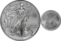 2021 American 1 Ounce Silver Eagle at Dawn and at Dusk 35th Anniversary Coin. Classic Design, Heraldic Eagle. 16th to the Last Classic Coin Struck. MS...