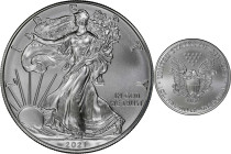 2021 American 1 Ounce Silver Eagle at Dawn and at Dusk 35th Anniversary Coin. Classic Design, Heraldic Eagle. 24th to the Last Classic Coin Struck. MS...