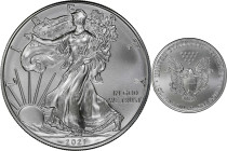 2021 American 1 Ounce Silver Eagle at Dawn and at Dusk 35th Anniversary Coin. Classic Design, Heraldic Eagle. 47th to the Last Classic Coin Struck. MS...