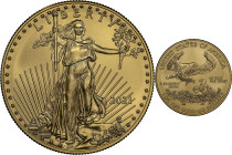 2021 American 1 Ounce Gold Eagle at Dawn and at Dusk 35th Anniversary Coin. Classic Design, Family of Eagles. 47th to the Last Classic Coin Struck. MS...