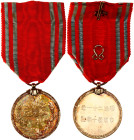 Japan Red Cross Decoration Silver Medal 1888
