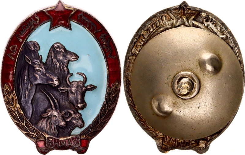 vsAE 44x34 mm.; Enameled; Condition-I