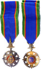 Thailand The Most Noble Order of the Crown of Thailand VII Class Silver Medal 1869