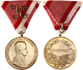 Austria Bravery Gold Medal "Der Tapferkeit" 1917 - 1918