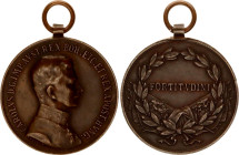 Austria Bravery Medal " Der Tapferkeit" 1917 - 1918