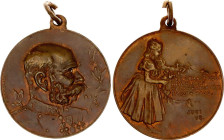 Austria Golden Jubilee Reign Kaiser Franz Joseph Military Medal 1898