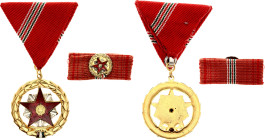 Hungary Republic Order of Merit for Outstanding Services I Class 1954 -1956