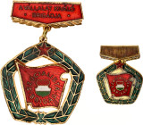Hungary Brigade Medal 1960 -th