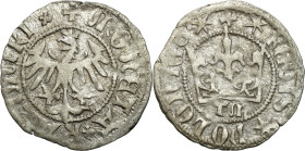 COLLECTION Medieval coins
Kazimierz IV Jagiellończyk (1446-1492). Półgrosz koronny 1408-1410, Cracow / Krakow, litery TM - RARITY R5 

Aw: Orzeł na...
