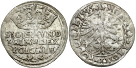 Sigismund I Old
Zygmunt I Stary. Grosz (Groschen) 1545, Cracow / Krakow 

Wariant z dwoma listkami u dołuawersu.Wyraźny blask menniczy.Kopicki 424;...