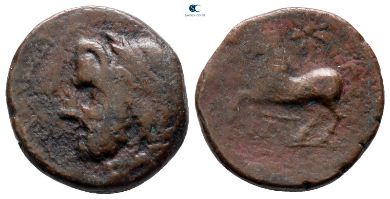 Apulia. Arpi circa 325-275 BC. 
Bronze Æ

17 mm, 3,83 g



nearly very fi...