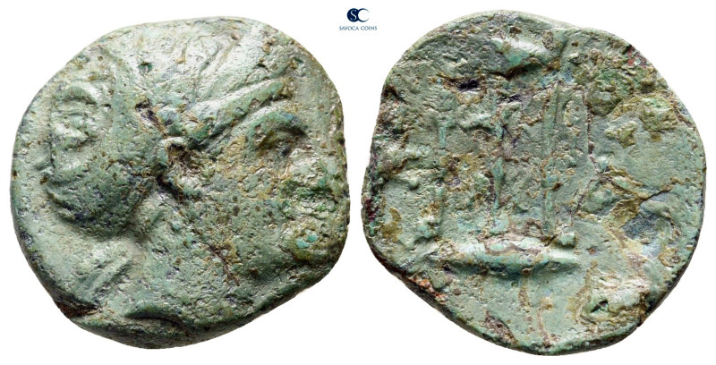Mysia. Kyzikos circa 300-200 BC. 
Bronze Æ

18 mm, 2,83 g



very fine