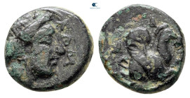 Mysia. Lampsakos circa 350-300 BC. Bronze Æ