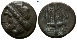 Sicily. Syracuse. Hieron II 275 BC-AD 215. Bronze Æ