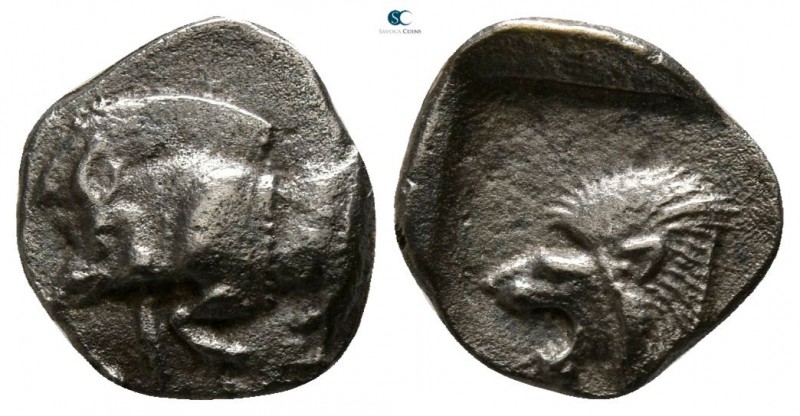 Mysia. Kyzikos circa 480 BC. 
Obol AR

9mm., 0,56g.

Forepart of boar left ...