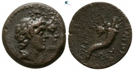 Seleukid Kingdom. Akko-Ptolemais. Cleopatra and Antiochos VIII 125-121 BC. Bronze Æ