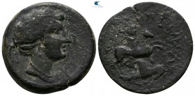 Corinthia. Corinth. Q. Caecilius Niger and C. Heius Pamphilius 34-31 BC. Bronze Æ