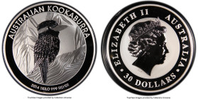 Elizabeth II silver "Kookaburra" 30 Dollars (1 Kilo) 2014-P MS69 PCGS, Perth mint, KM2119. Housed in oversized PCGS slab. 

HID09801242017

© 2022 Her...